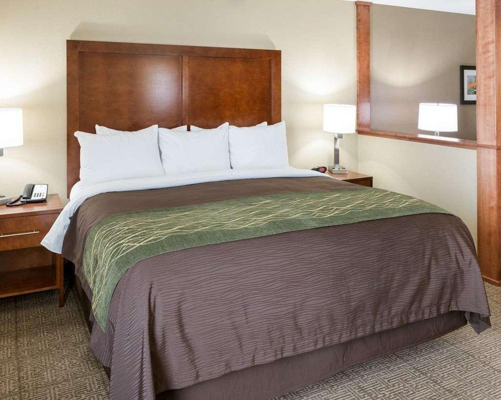 Comfort Inn & Suites West - Medical Center Rochester Szoba fotó