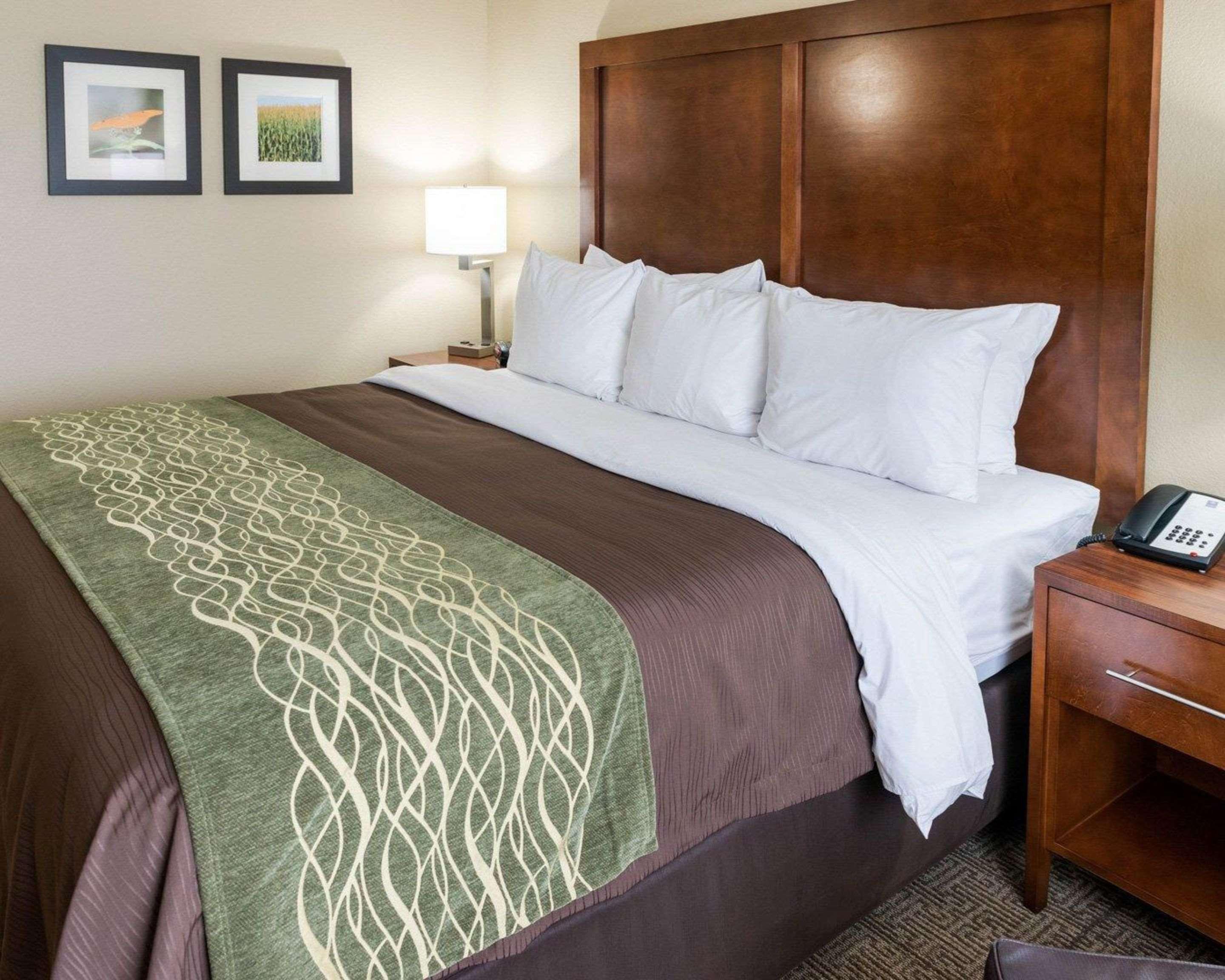 Comfort Inn & Suites West - Medical Center Rochester Kültér fotó